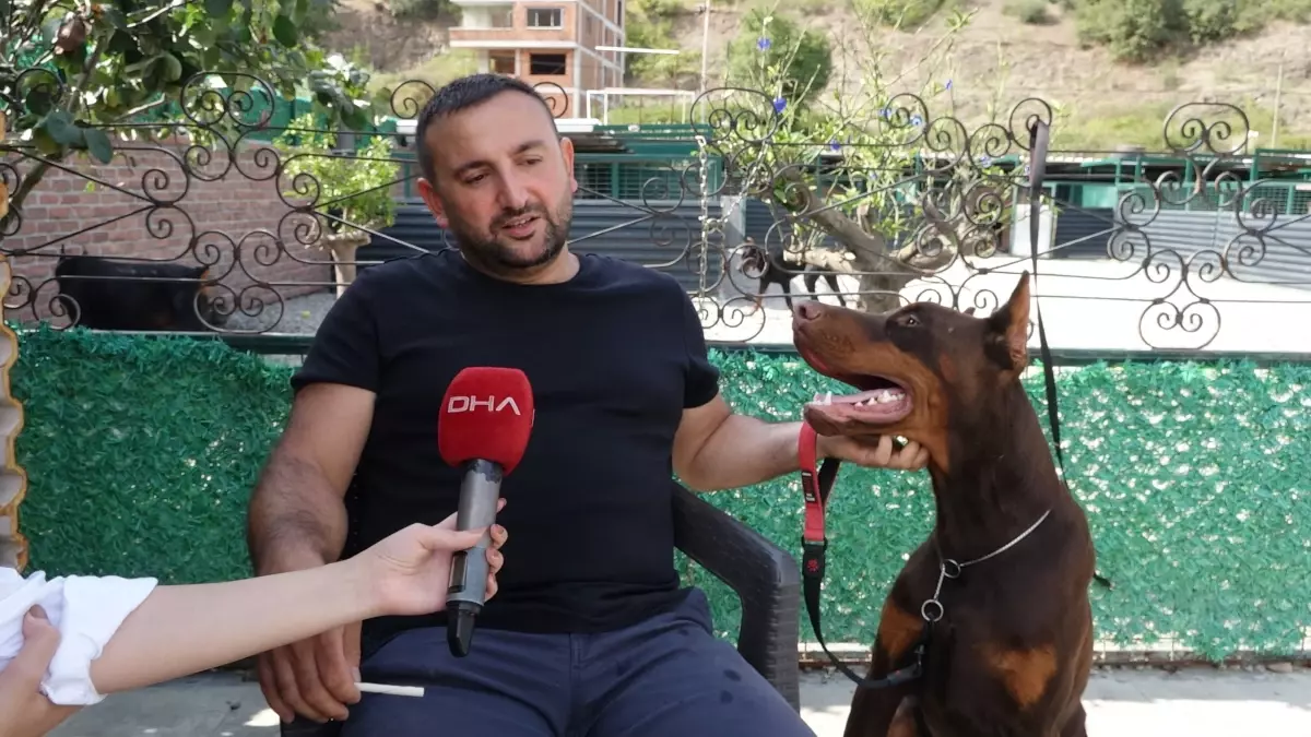 Samsun\'da Doberman Çiftliği Kurdu