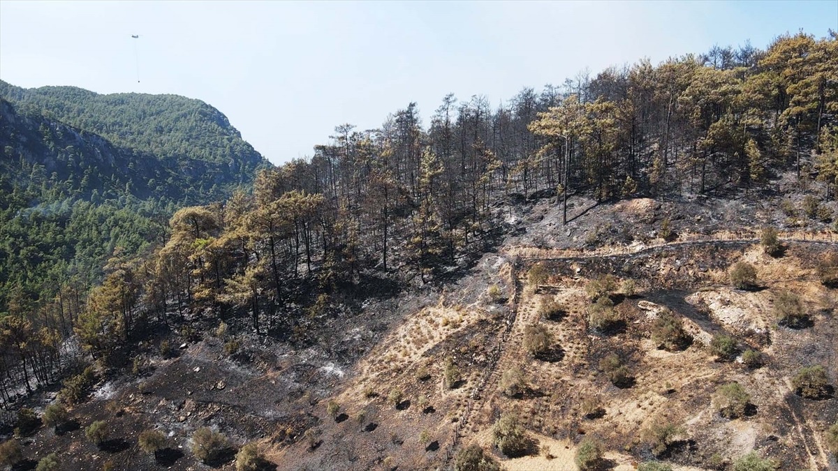 Muğla\'da Orman Yangınına Müdahale