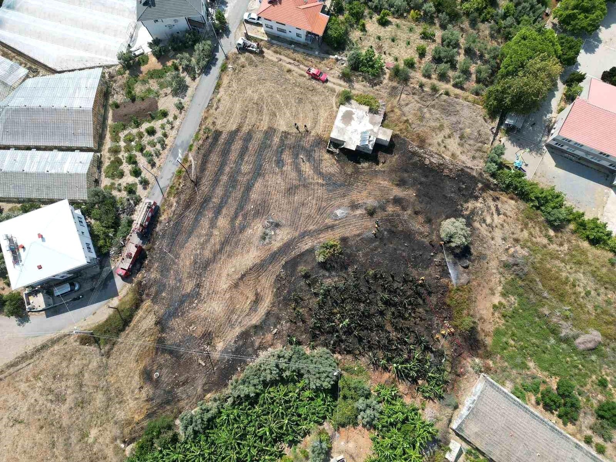 Manavgat\'ta İlköğretim Okulu Yakınında Yangın