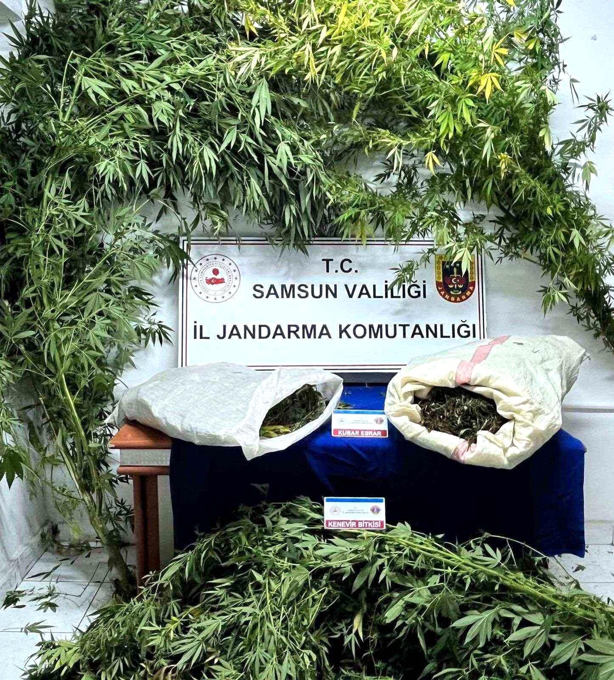 Samsun\'da Uyuşturucu Operasyonu: 8 Kilo Esrar Ele Geçirildi
