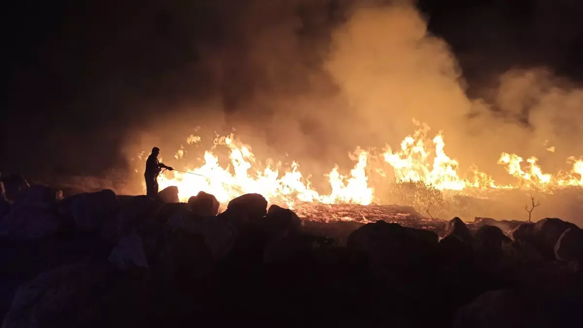 Seferihisar\'da Orman Yangınları Kontrol Altında