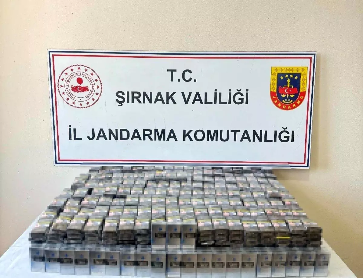 Şırnak\'ta Kaçakçılık Operasyonu: 26 Gözaltı