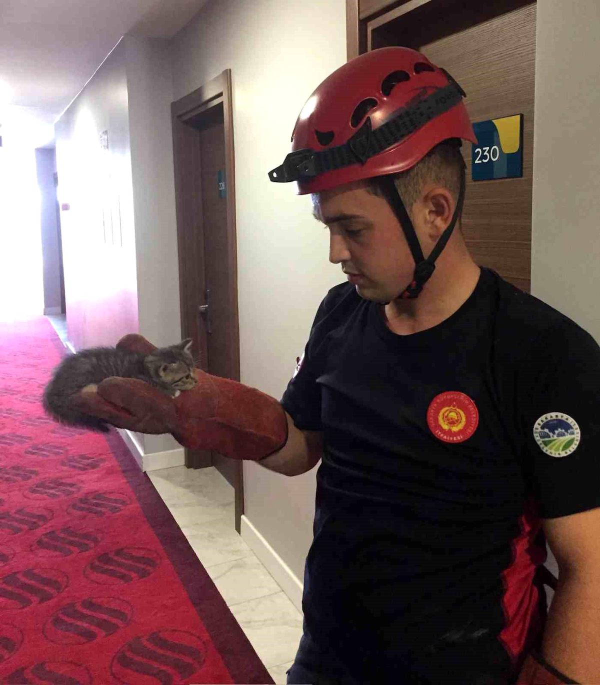 Sakarya Büyükşehir Belediyesi Sokak Hayvanlarına Yardım Ediyor