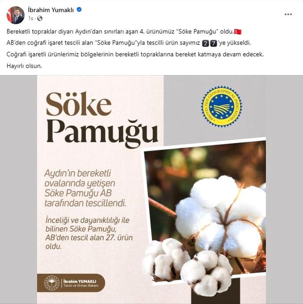 Söke Pamuğu AB\'den coğrafi işaret tescili aldı