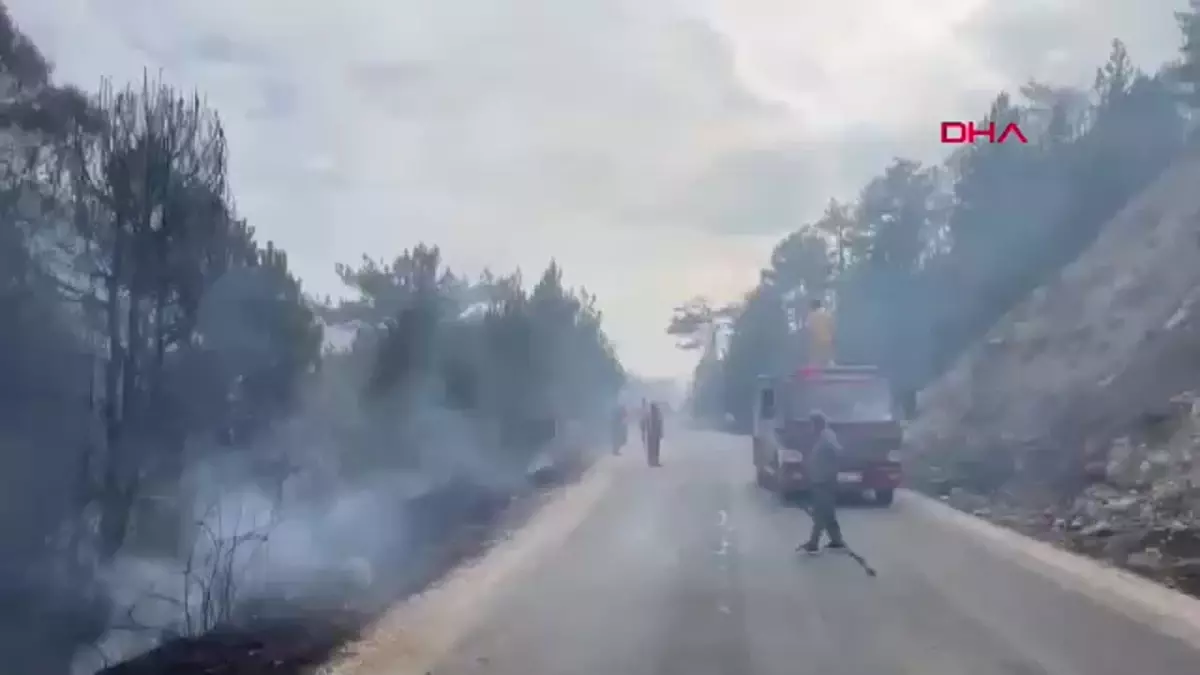 Bolu Göynük\'te Orman Yangını Çıktı