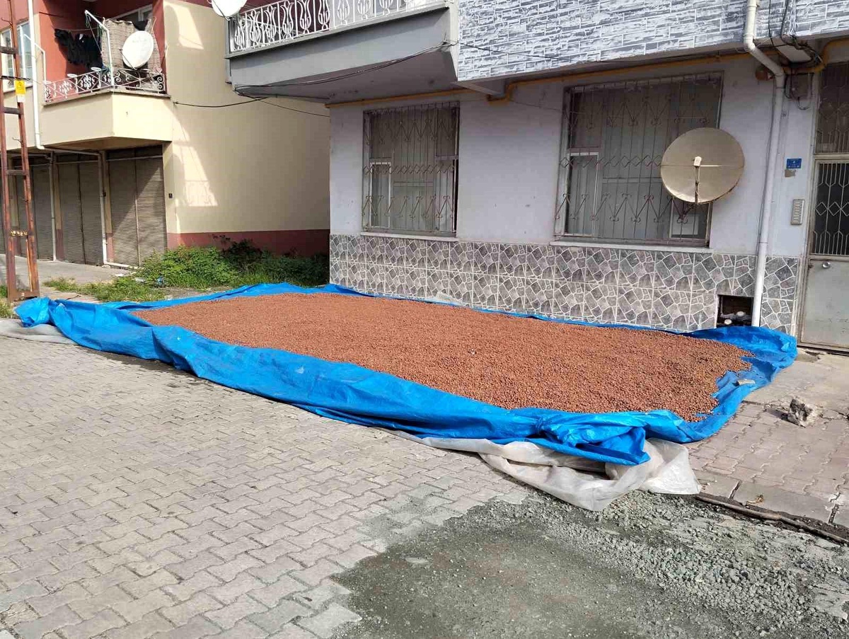 Fındık Üreticileri Kuruma Çabasını Sürüyor