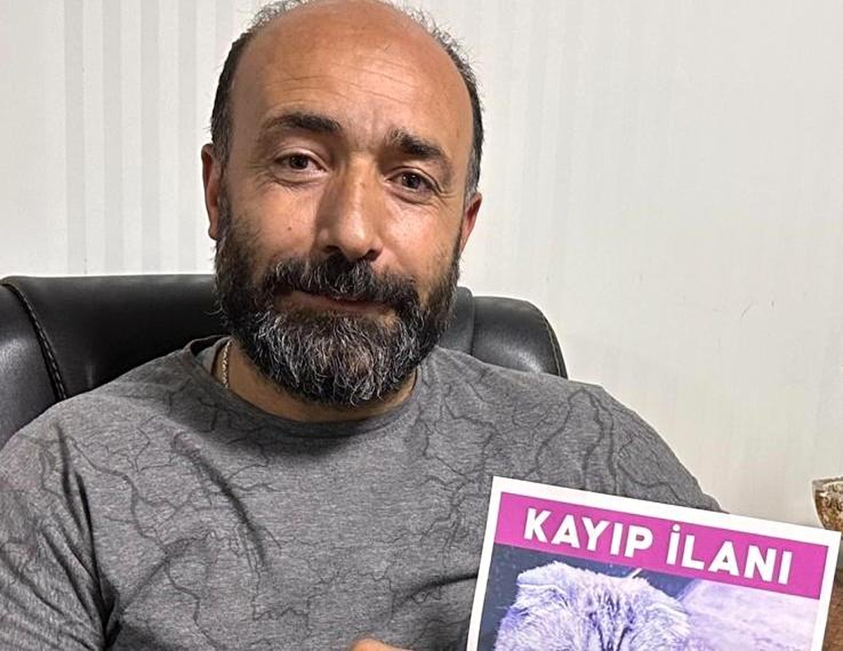 Malatya\'da Kayıp Kediye 15 Bin TL Ödül