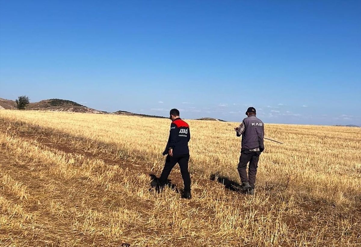 Sivas\'ta kaybolan koyunların bir kısmı bulundu