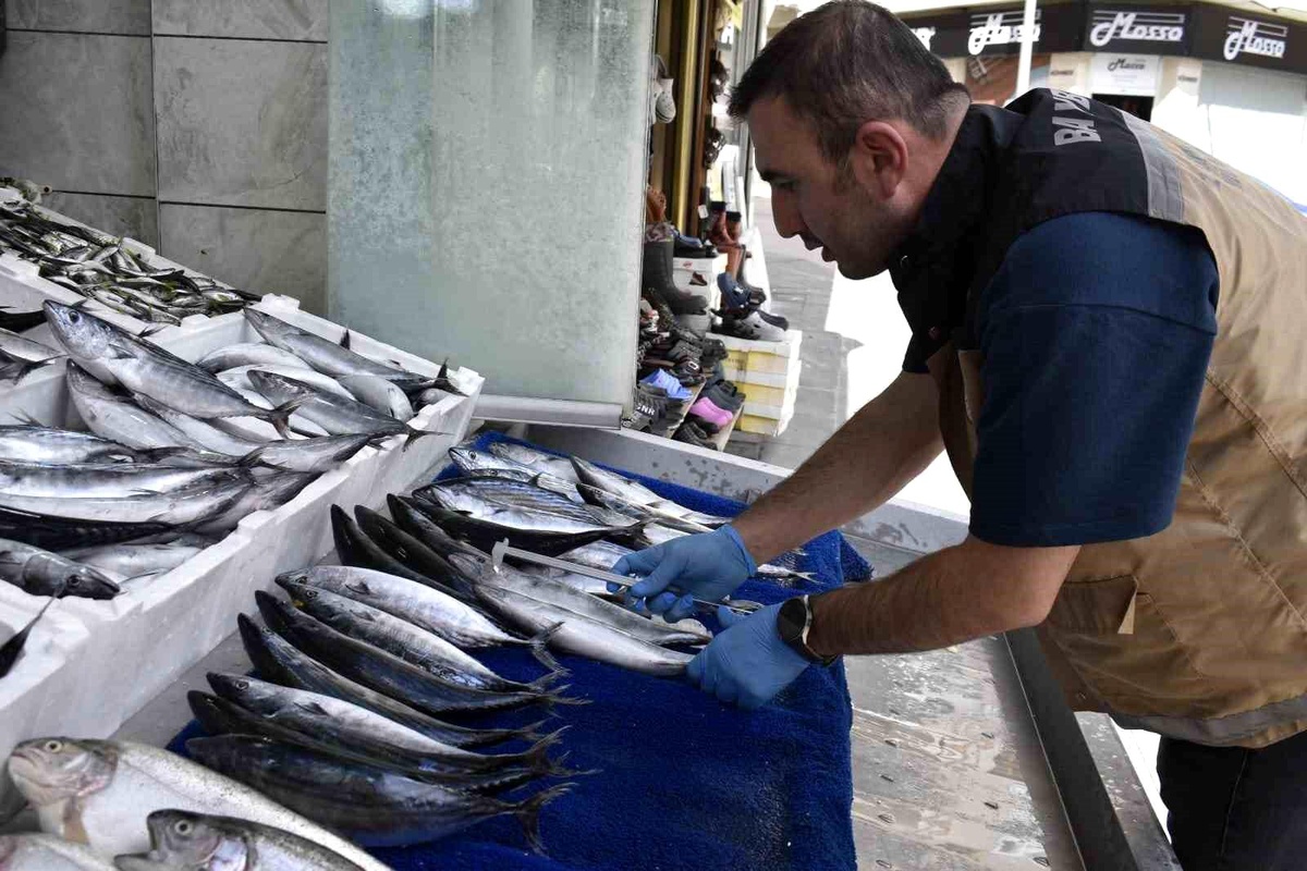 Bayburt\'ta Balık Satış Denetimi