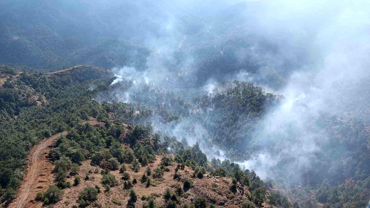 Antakya\'da Orman Yangını Kontrol Altına Alındı