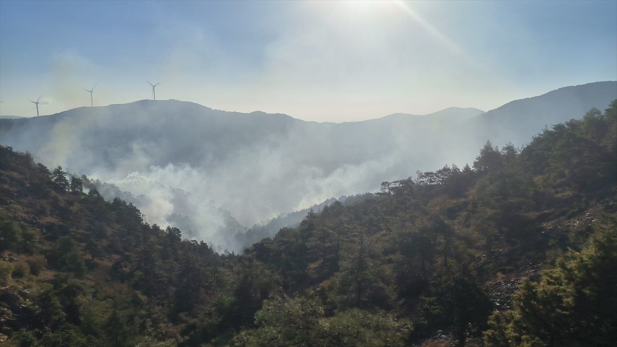 Antakya\'da Orman Yangını Kontrol Altına Alınmaya Çalışılıyor