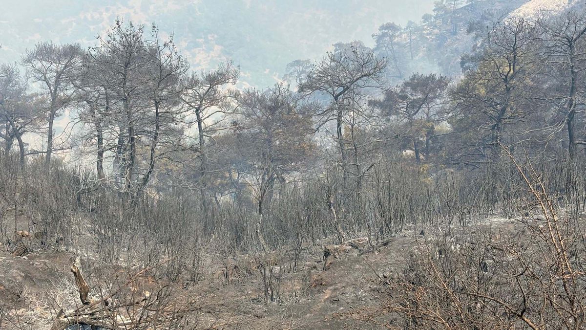 Yamanlar Dağı Yangınına Kaçak Kazı İddiası