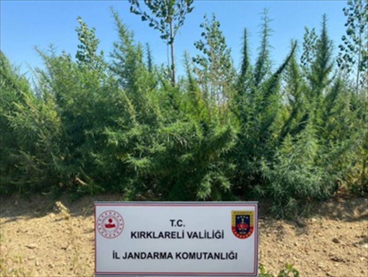 Kırklareli\'nde Uyuşturucu Operasyonu