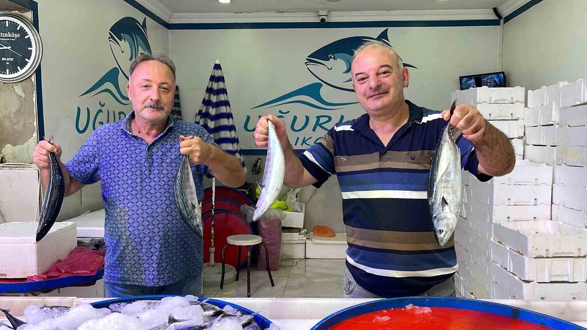 Palamut Bolluğu Rize\'de Yüzleri Gülümsetti