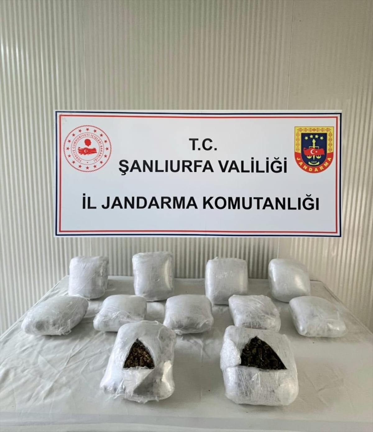 Şanlıurfa\'da Üzerinde Uyuşturucu Bulunan Zanlı Tutuklandı