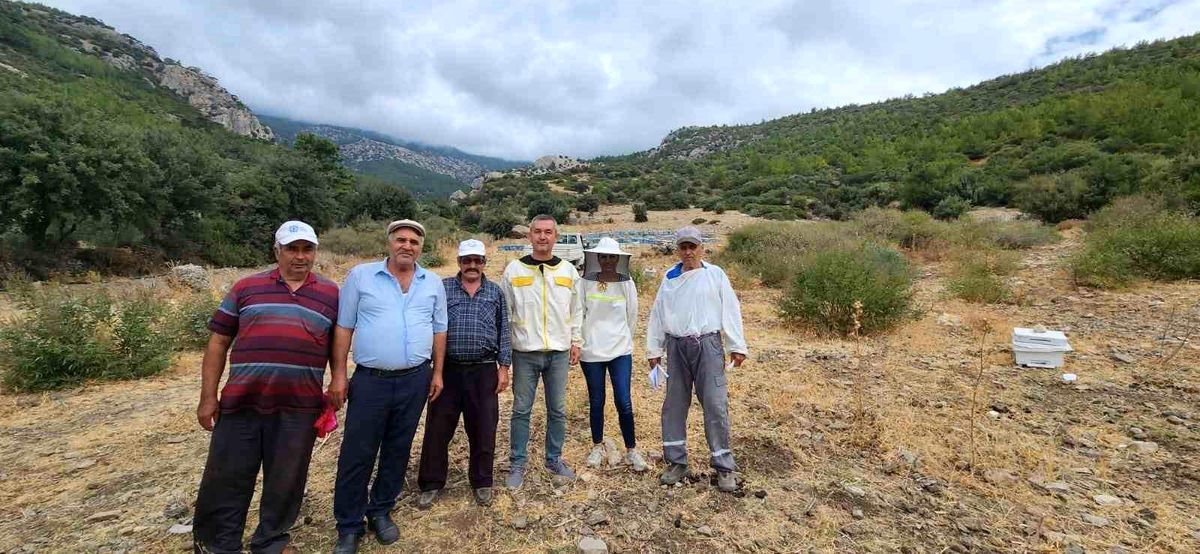 Söke\'de Arıcılığa Destek Çalışması