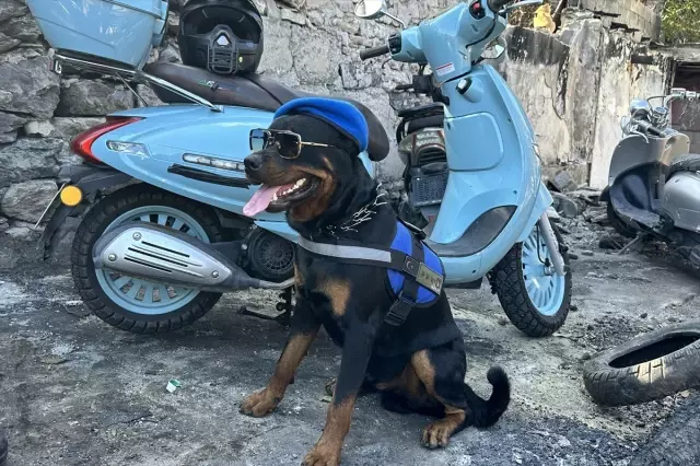 İstanbul'da Motosiklet Tamircisi Köpeğiyle Her Yere Gidiyor