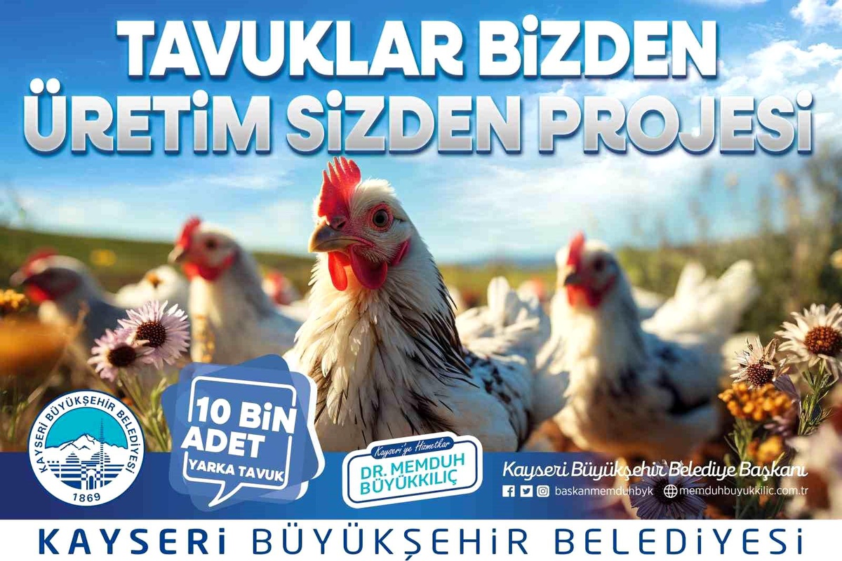 Kayseri Büyükşehir Belediyesi Kadın Üreticilere Tavuk Dağıtacak