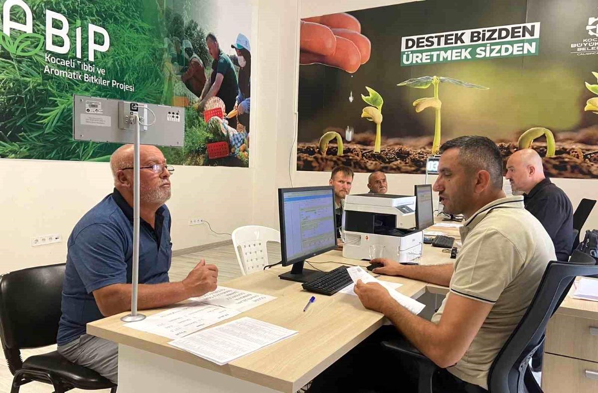 Kocaeli\'de çiftçilere yüzde 75 hibeli yem bitkisi tohumu desteği