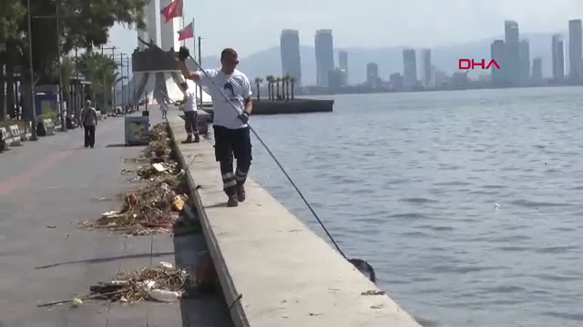 İzmir\'de Sahil Kirliliği ve Balık Ölümleri