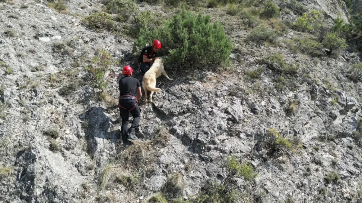 Kayıp Köpek İtfaiye Ekiplerince Kurtarıldı