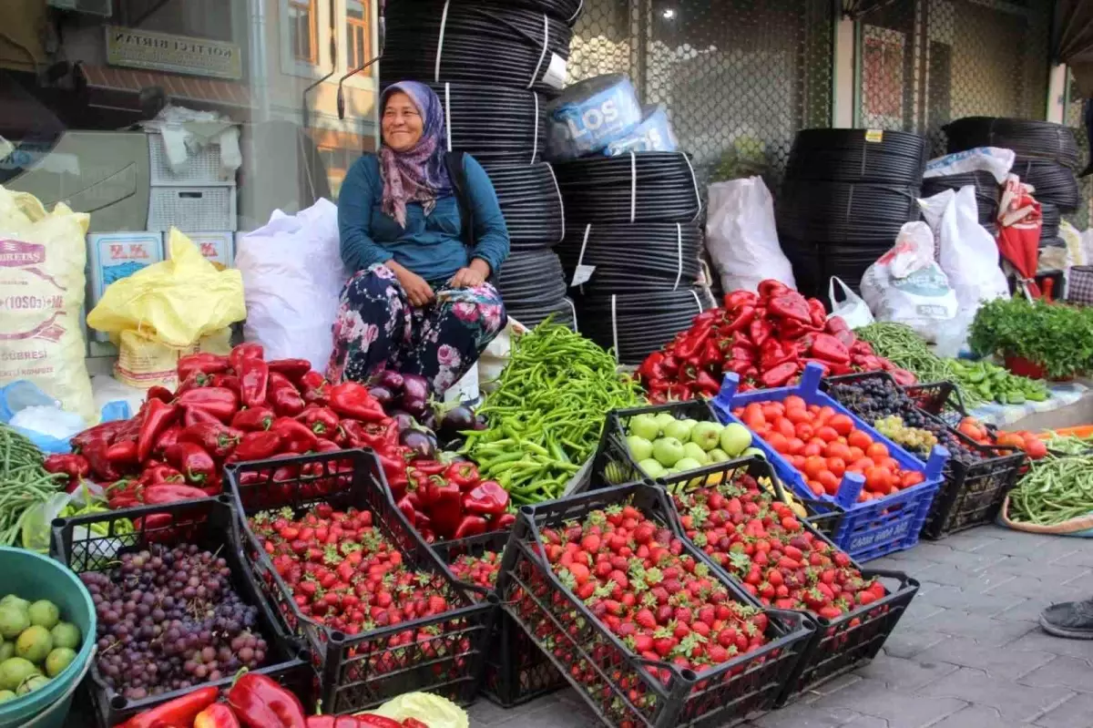 Bayramiç\'te Organik Meyve Sebze Pazarı