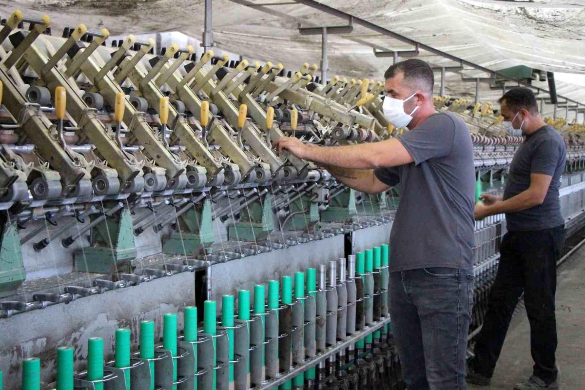 Gümüşhacıköy Kenevir Fabrikası Yeniden Faaliyette