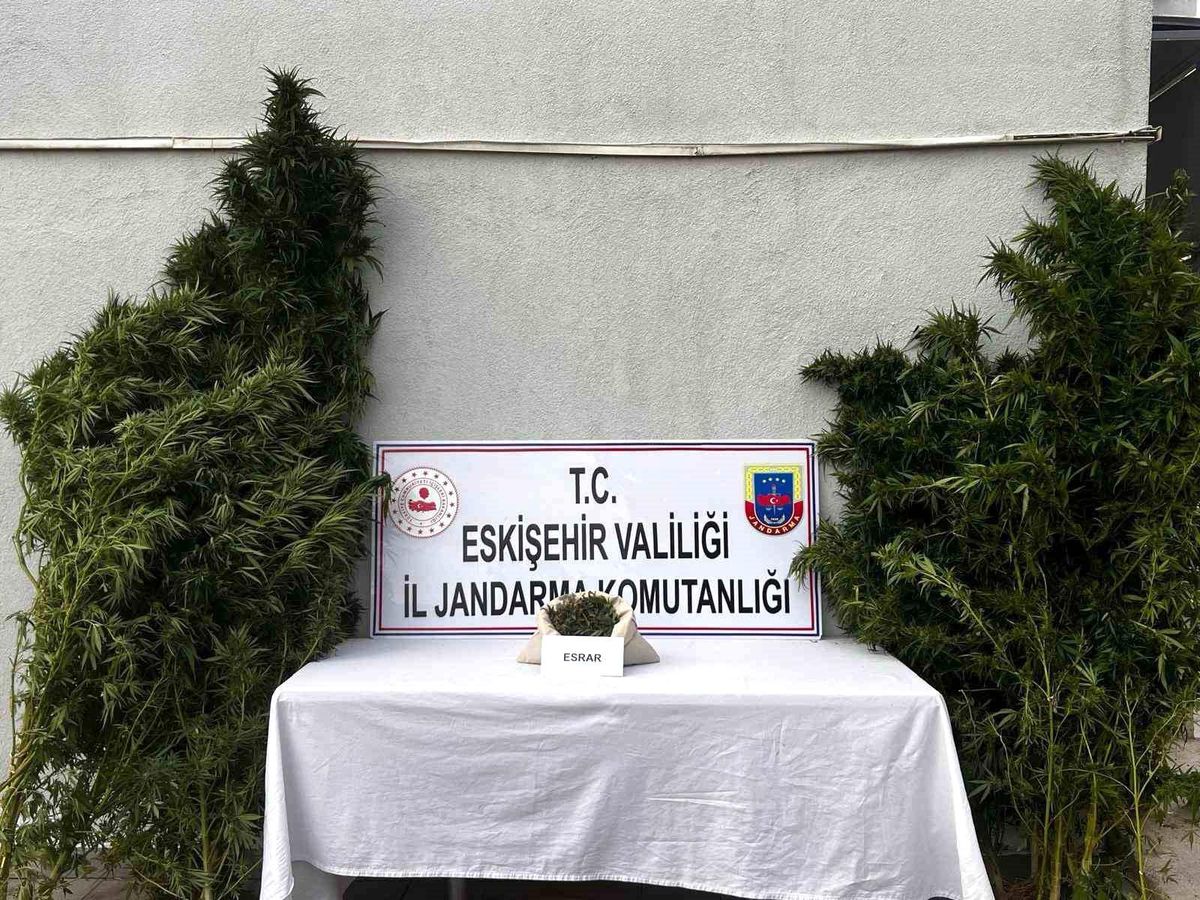 Eskişehir\'de Uyuşturucu Operasyonu