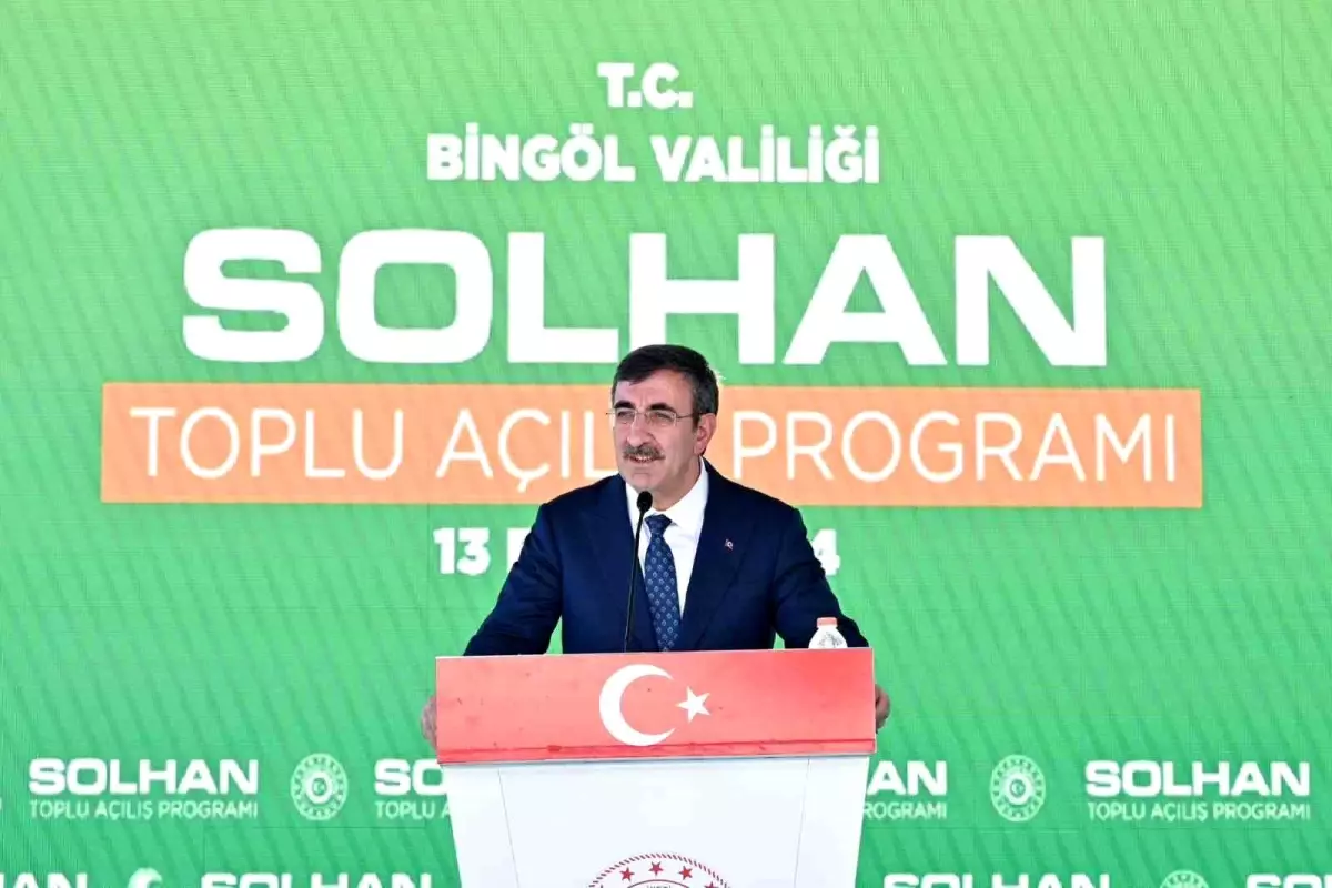 Cumhurbaşkanı Yardımcısı Yılmaz, Solhan\'da toplu açılış törenine katıldı