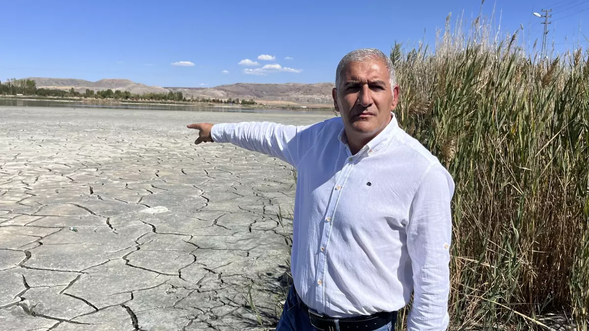 Ulaş Gölü Kuruyor: Elmabaş Patka Tehdit Altında