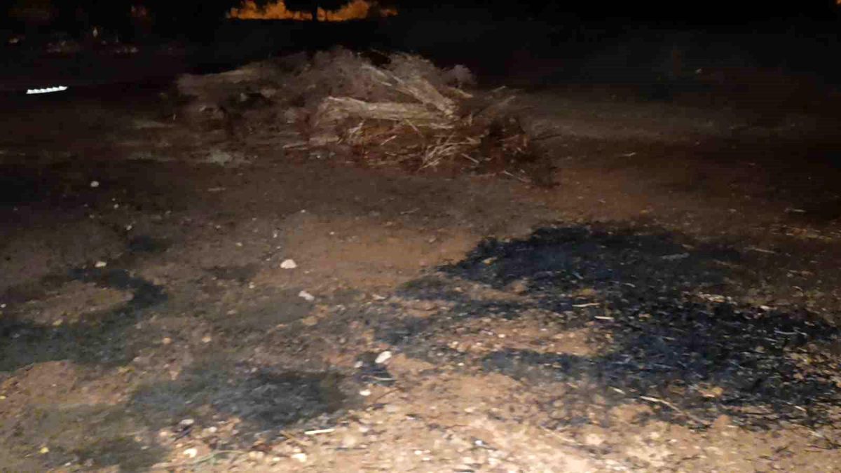 Manavgat\'ta ev yangını ihbarına giden itfaiye ekipleri tarlada yanmakta olan susam gümülleriyle karşılaştı