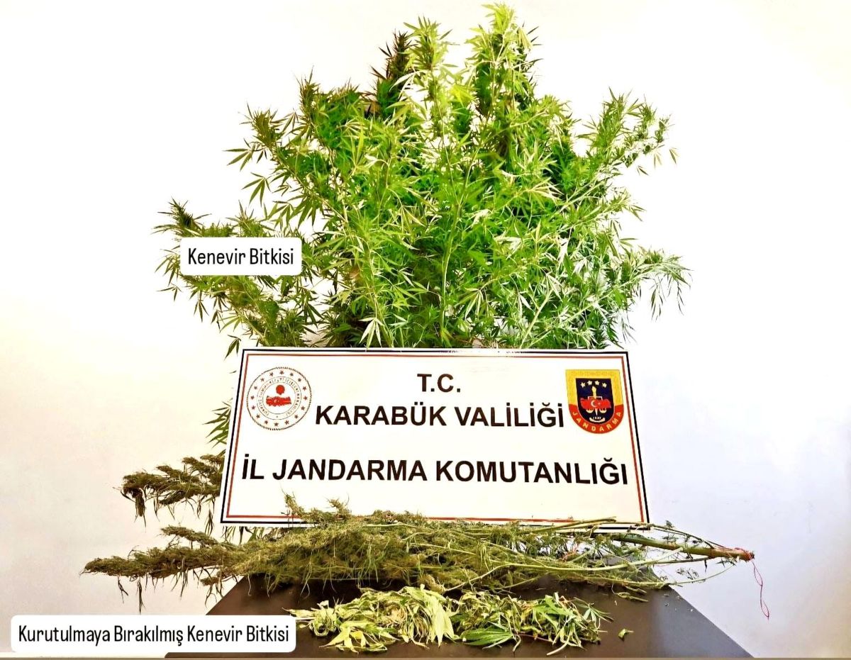 Karabük\'te Kenevir ve Esrar Ele Geçirildi
