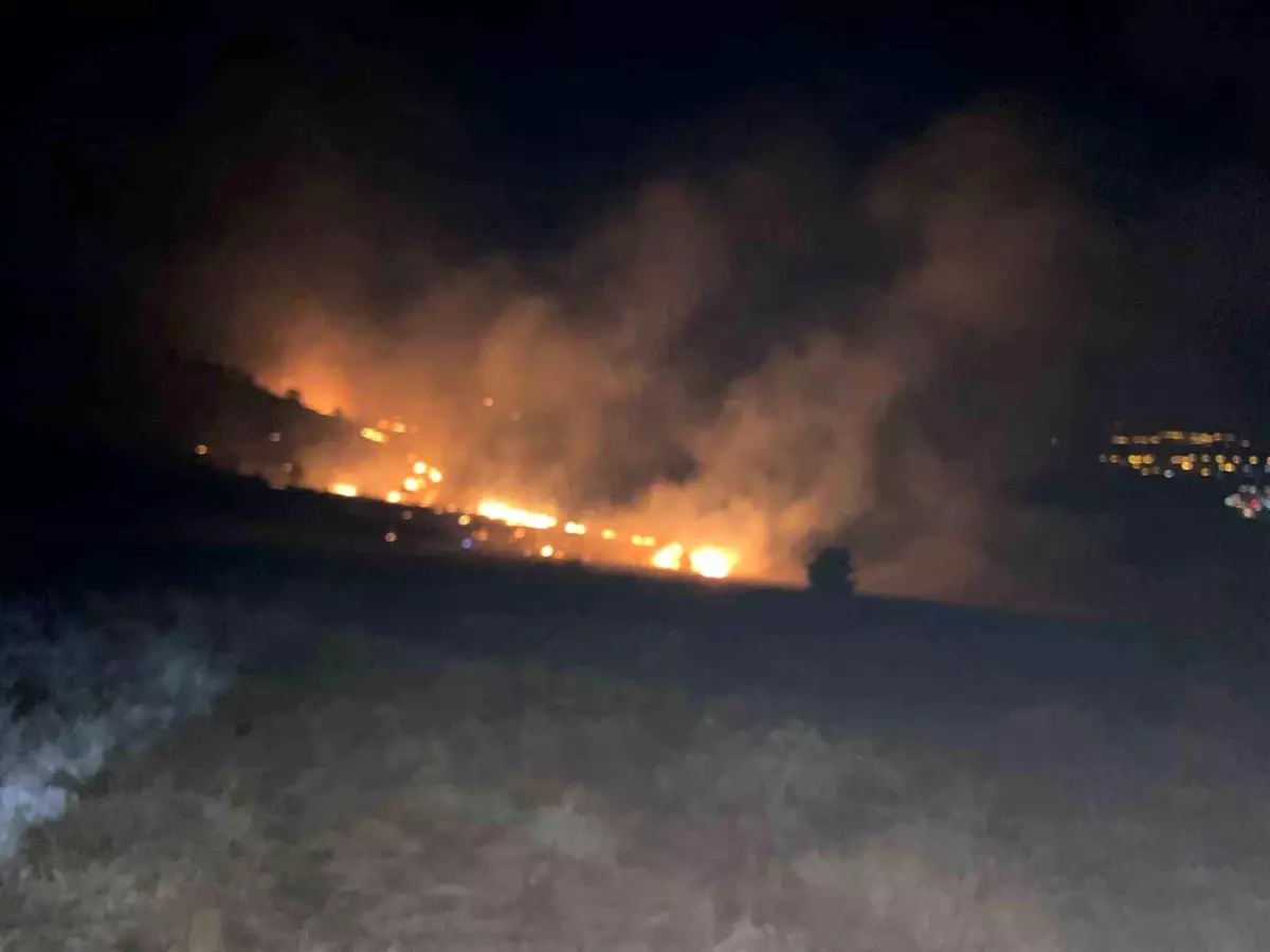 Muş\'ta Orman Yangınları Kontrol Altına Alındı