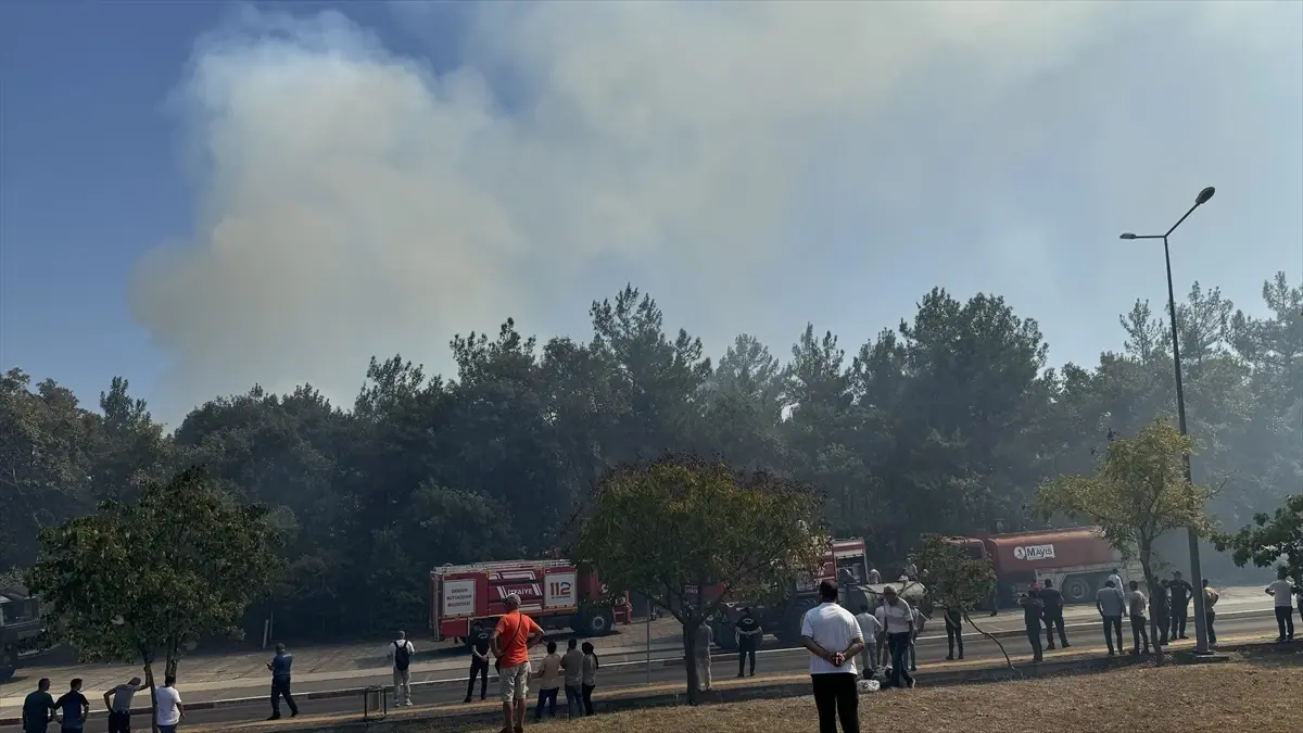 OMÜ Kampüsünde Yangın Kontrol Altına Alındı