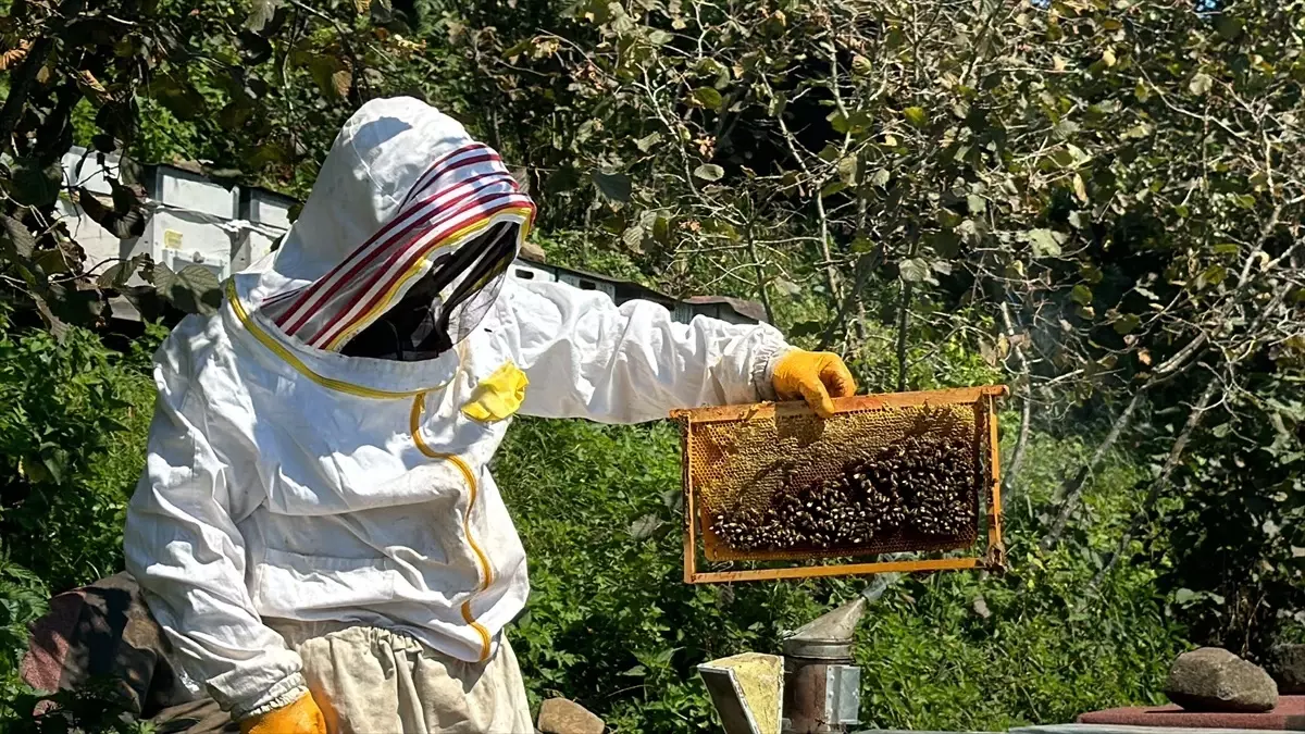 Salıpazarı Kestane Balı İçin Ön Sipariş Zamanı