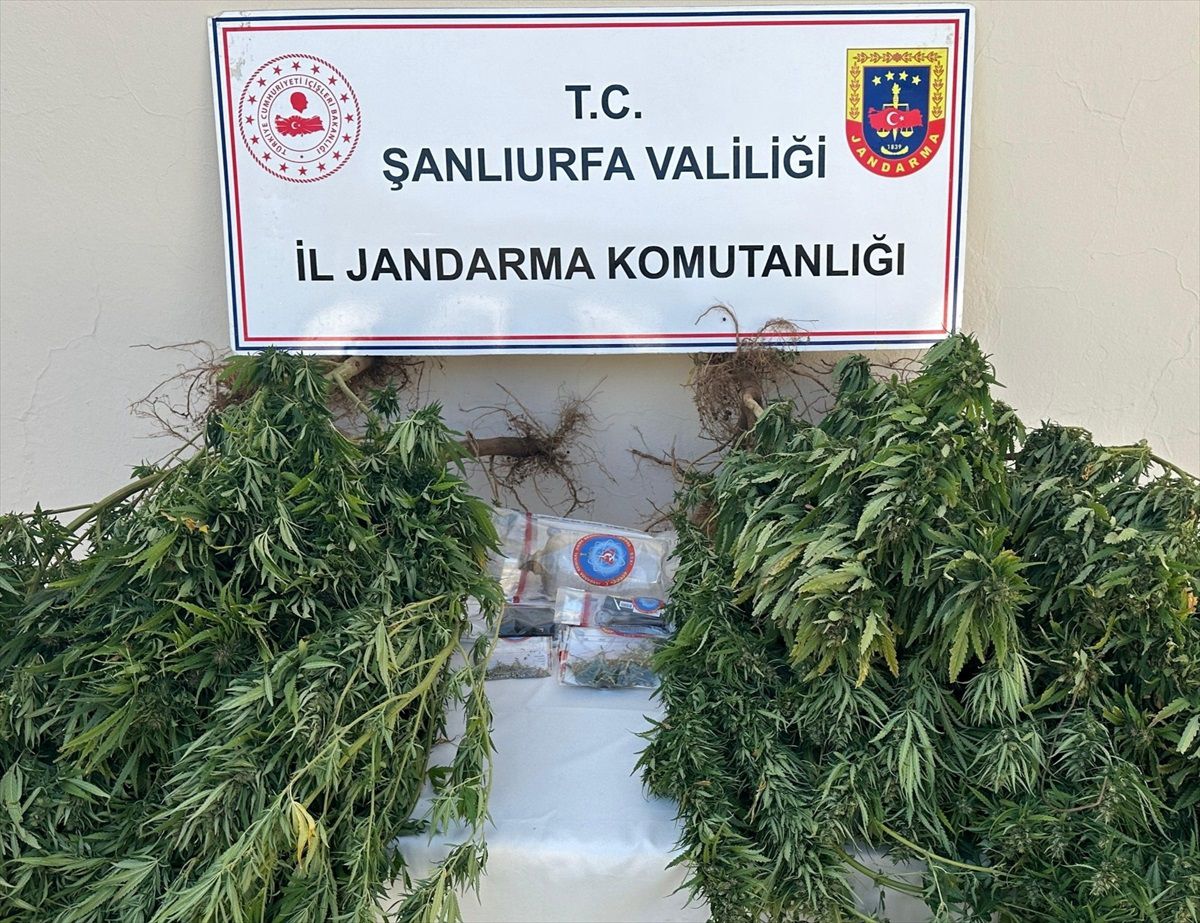 Şanlıurfa\'da Uyuşturucu Operasyonu