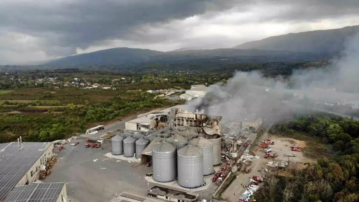 Hendek\'teki Fabrika Patlaması: 30 Yaralı, 1 Ölü