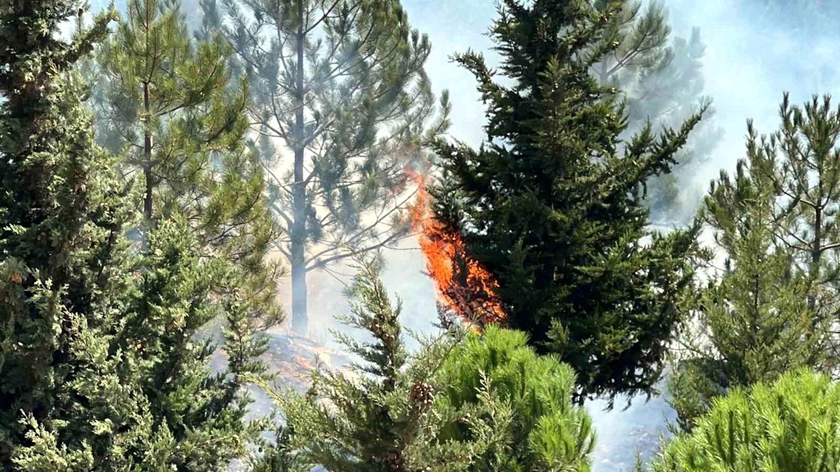 Kahramanmaraş\'ta Yangın Kontrol Altına Alındı