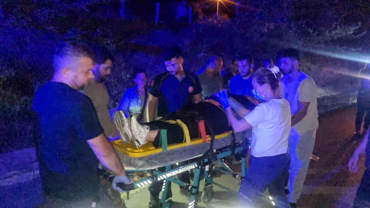 Sinop\'ta Kaza: Köpeğe Çarpmamak İçin Takla Attı