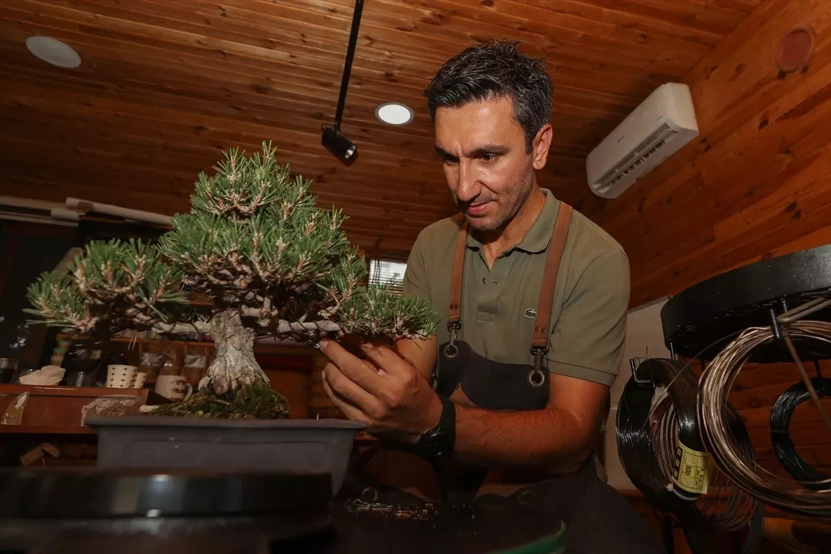 Bonsai Sanatına Adanmış Bir Hayat