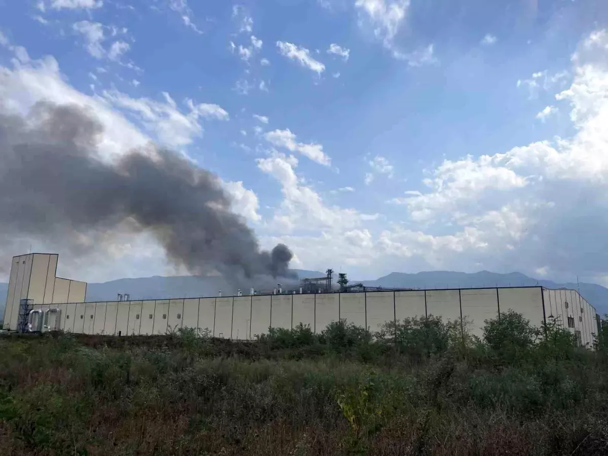 Hendek\'teki Oba Makarna Fabrikasında Patlama: 12 Yaralı Hastaneye Sevk Edildi