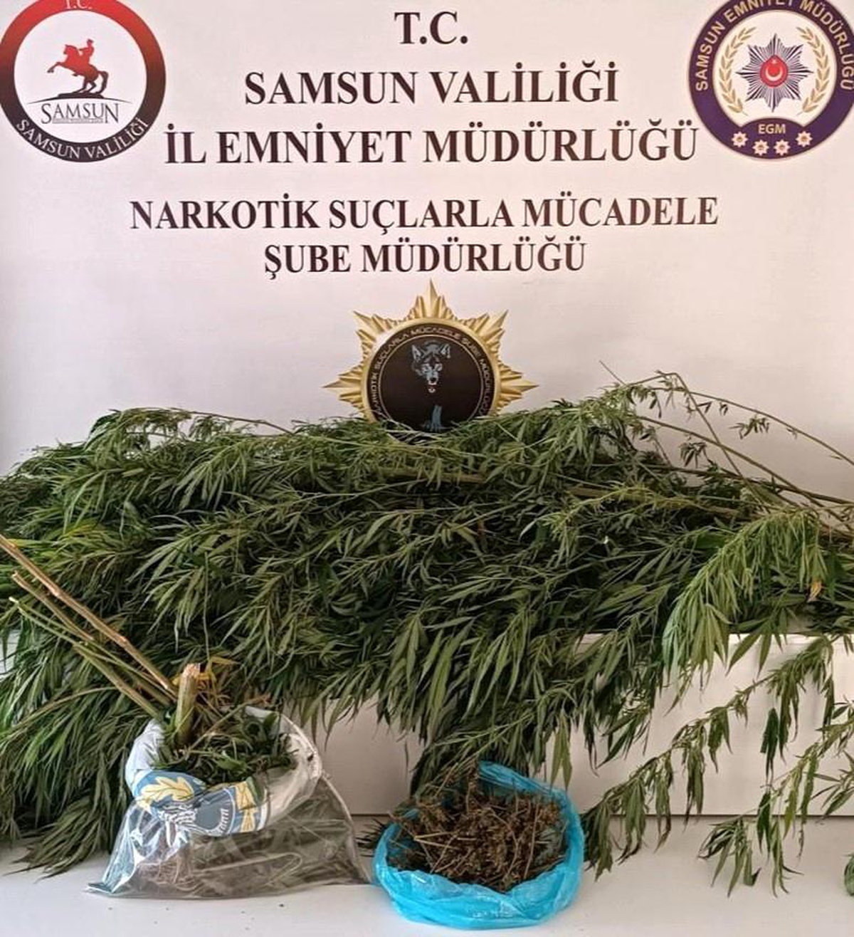 Samsun\'da Uyuşturucu Operasyonu