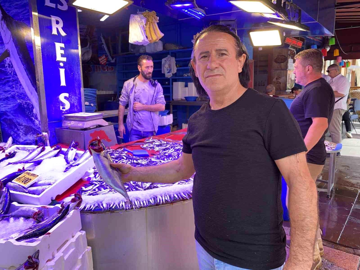 Eskişehir\'de Palamut Bolluğu