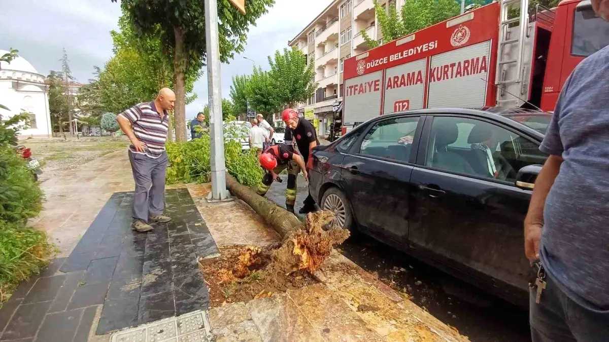 Düzce\'de Ağaç, Yeni Alınan Aracın Üzerine Devrildi