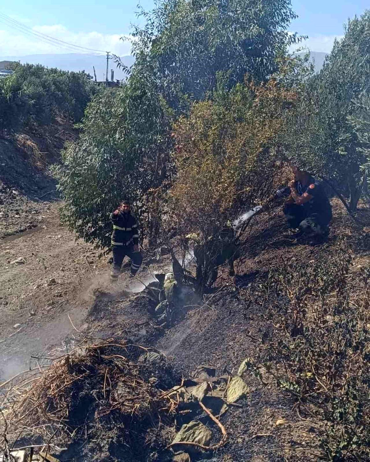 Hatay\'da Zeytinlikte Yangın Kontrol Altına Alındı