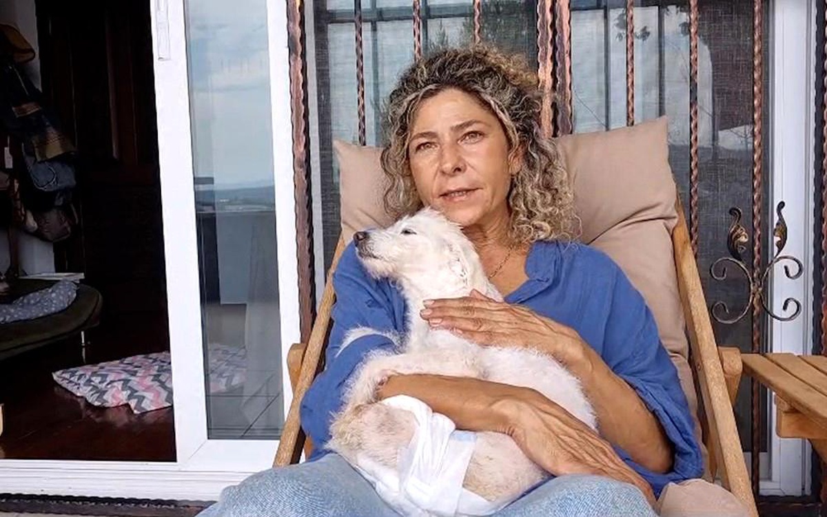 Mersin\'de Kurtarılan Köpek Yeni Yuvasına Kavuştu
