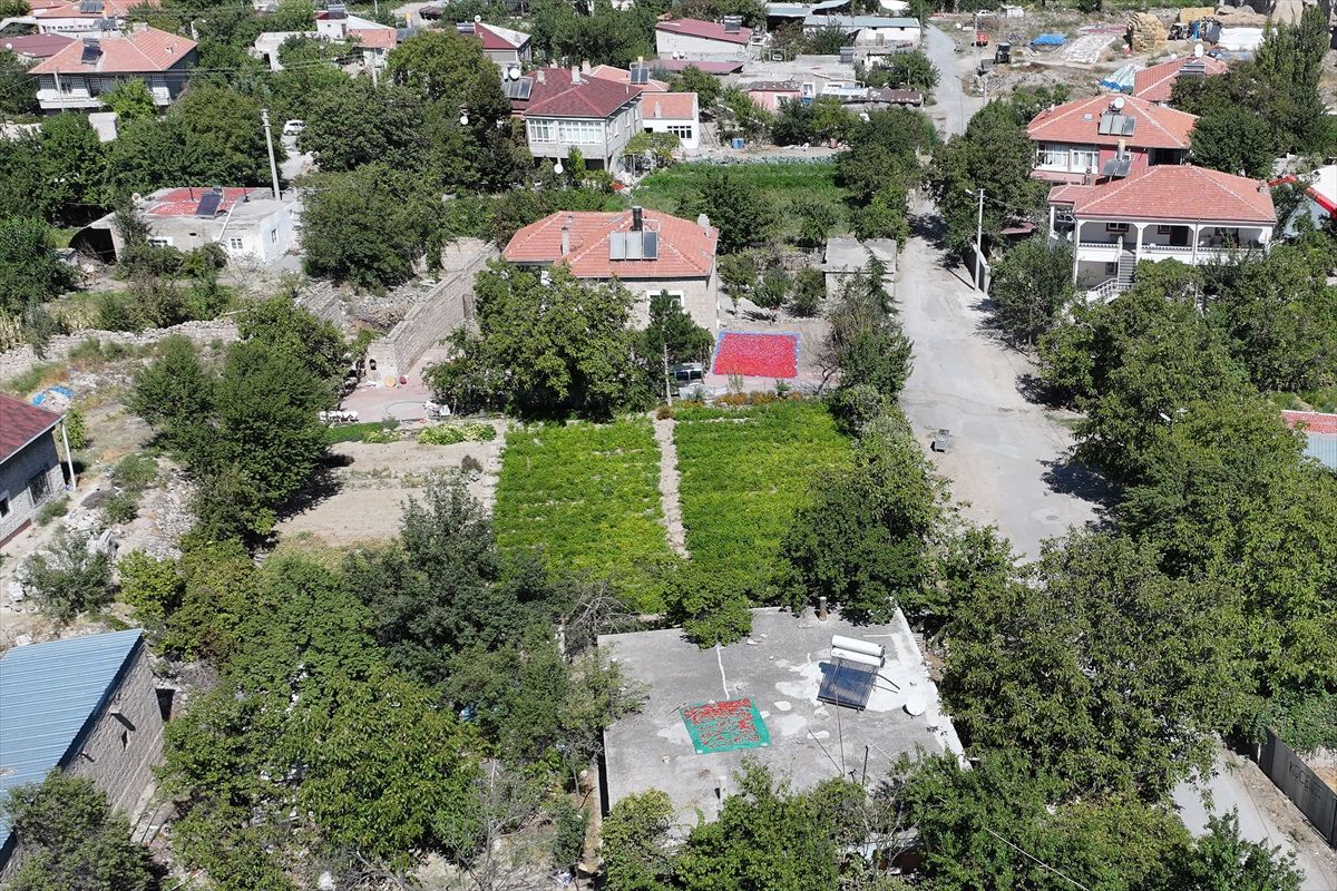 Cırgalan Biberi Yurt Dışına Gönderiliyor