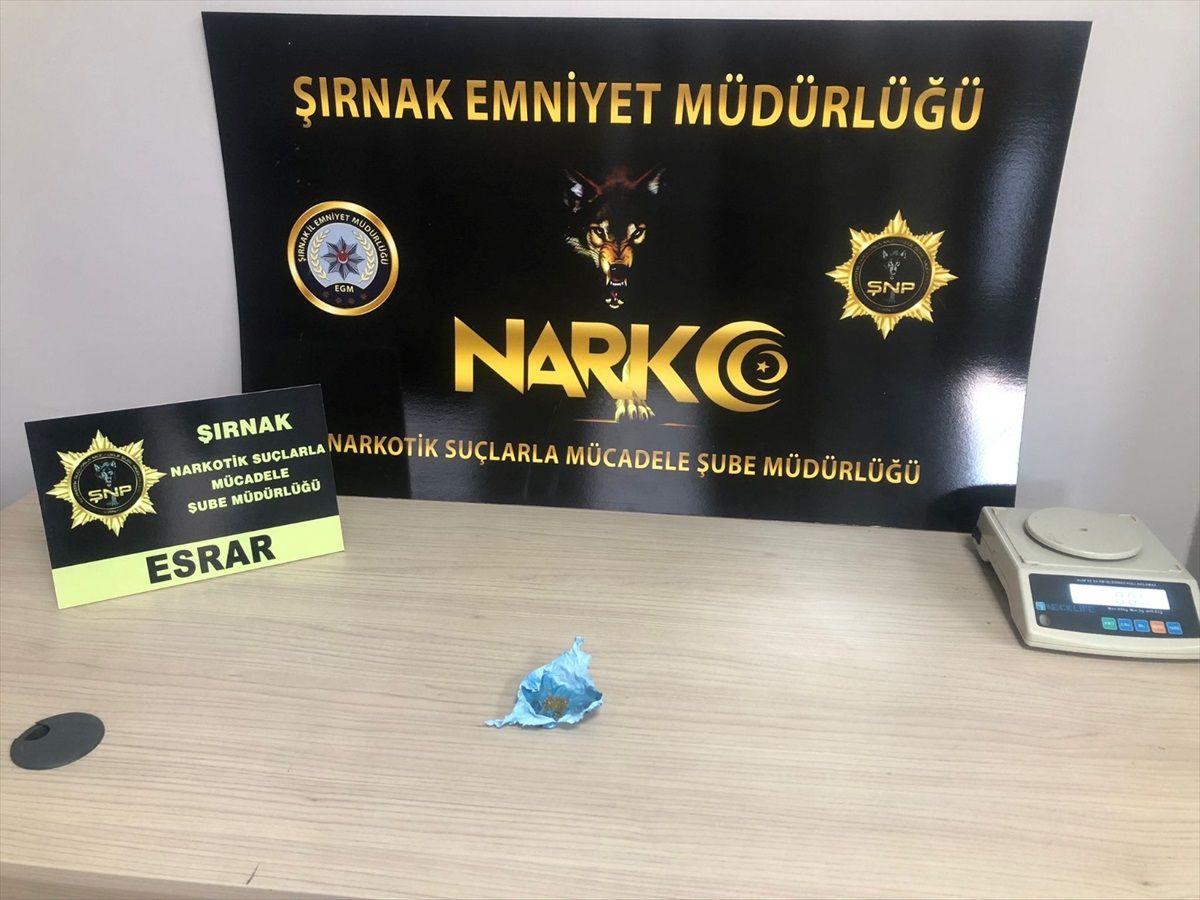 Şırnak\'ta 50 Kaçakçı Gözaltında