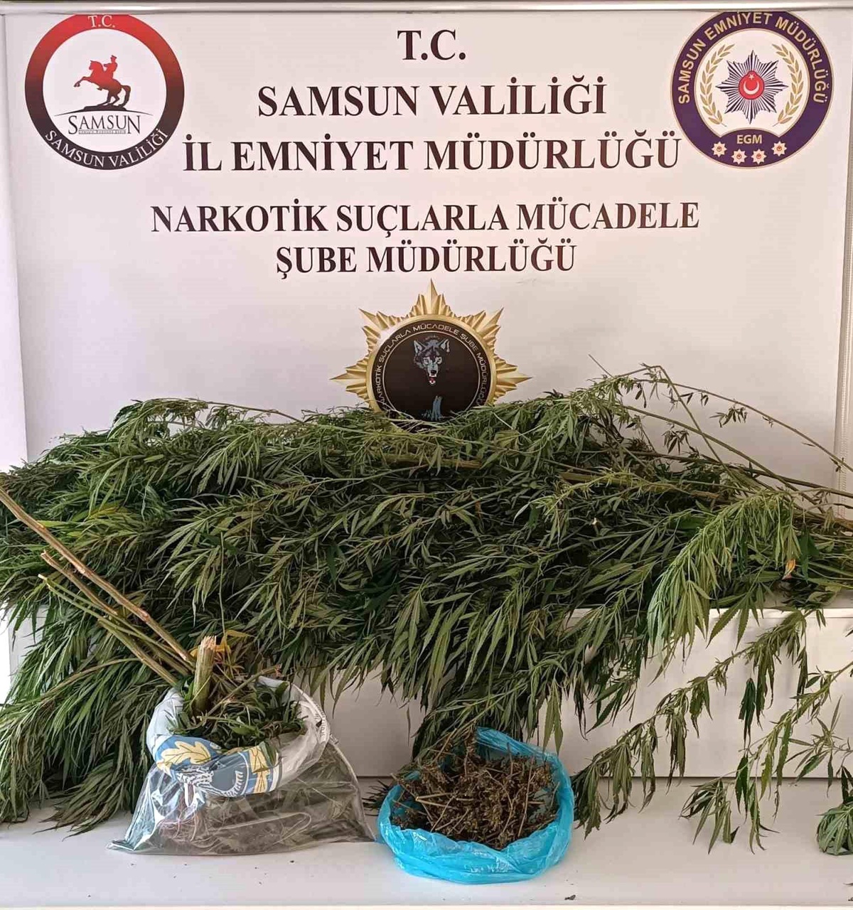 Samsun\'da Uyuşturucu Operasyonu