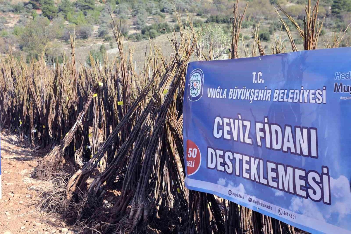 Muğla\'da Yangınlardan Etkilenen Üreticilere Fidan Desteği